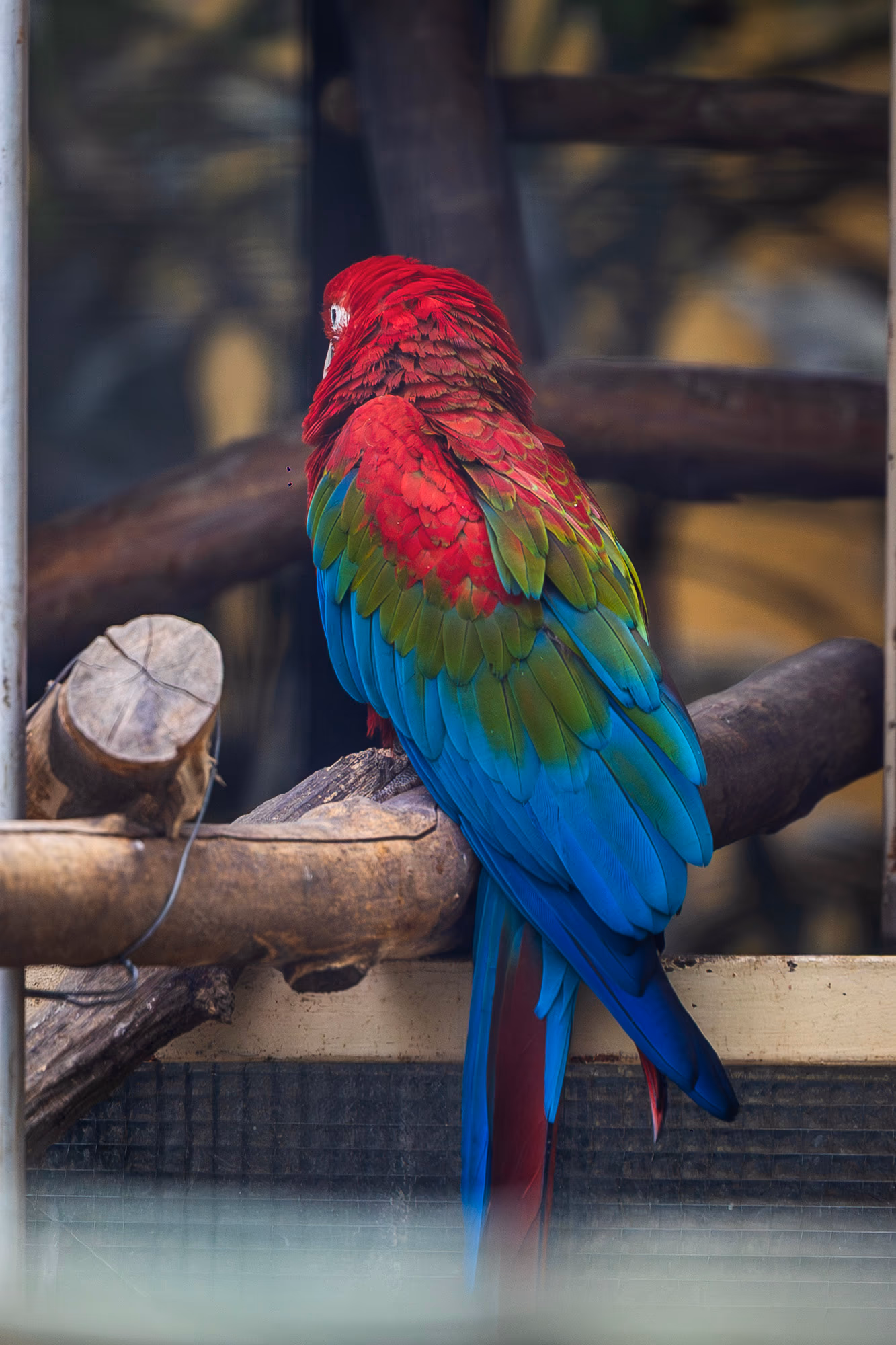 ZOO TGM0044