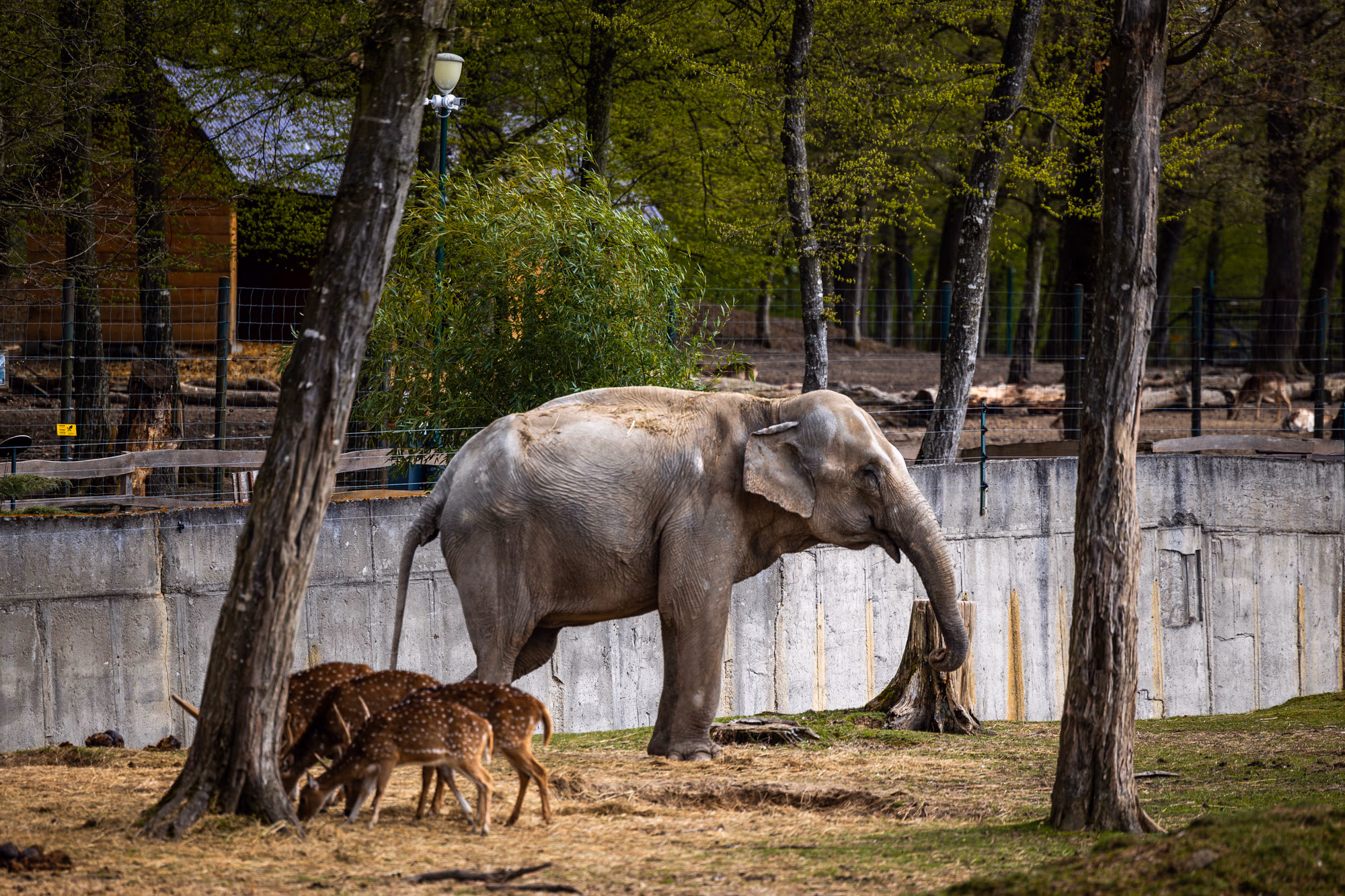 ZOO TGM0140