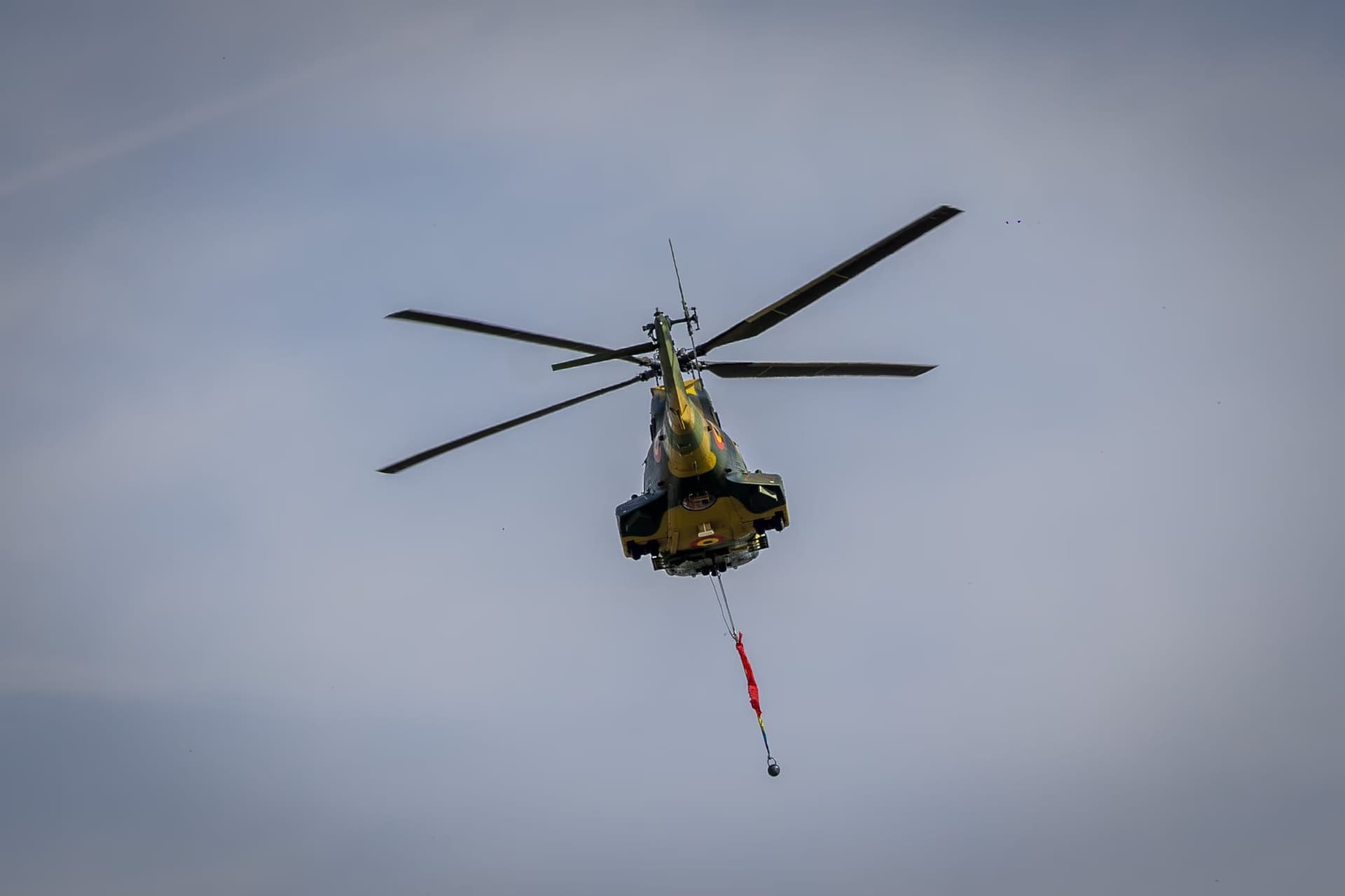 A Puma in a solo pass. Photo: AdiCoco.com