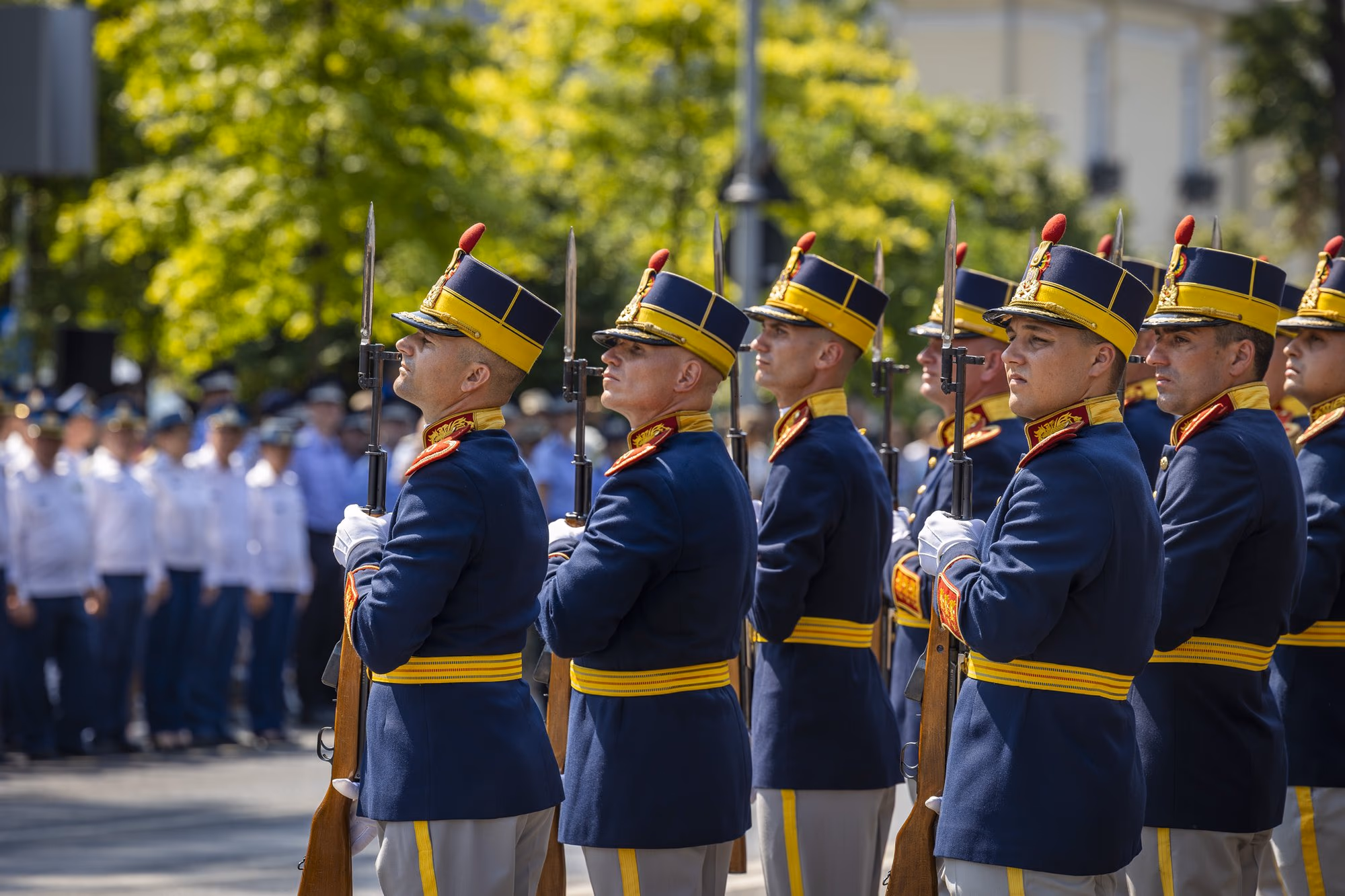 A díszőrség szuronyai, profilból. Fotó: AdiCoco.com