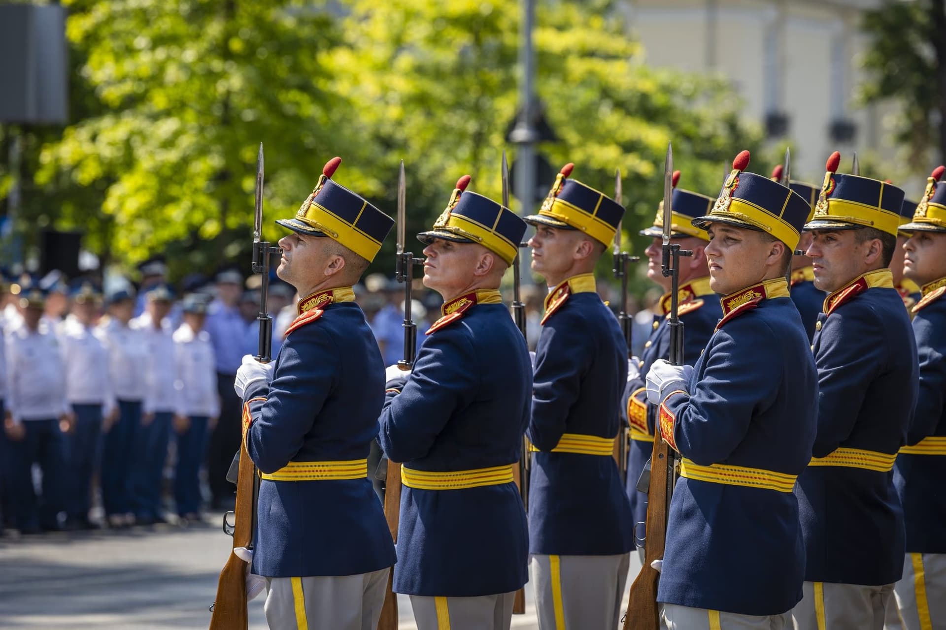 The bayonets of the guard of honour, in profile. Photo: AdiCoco.com