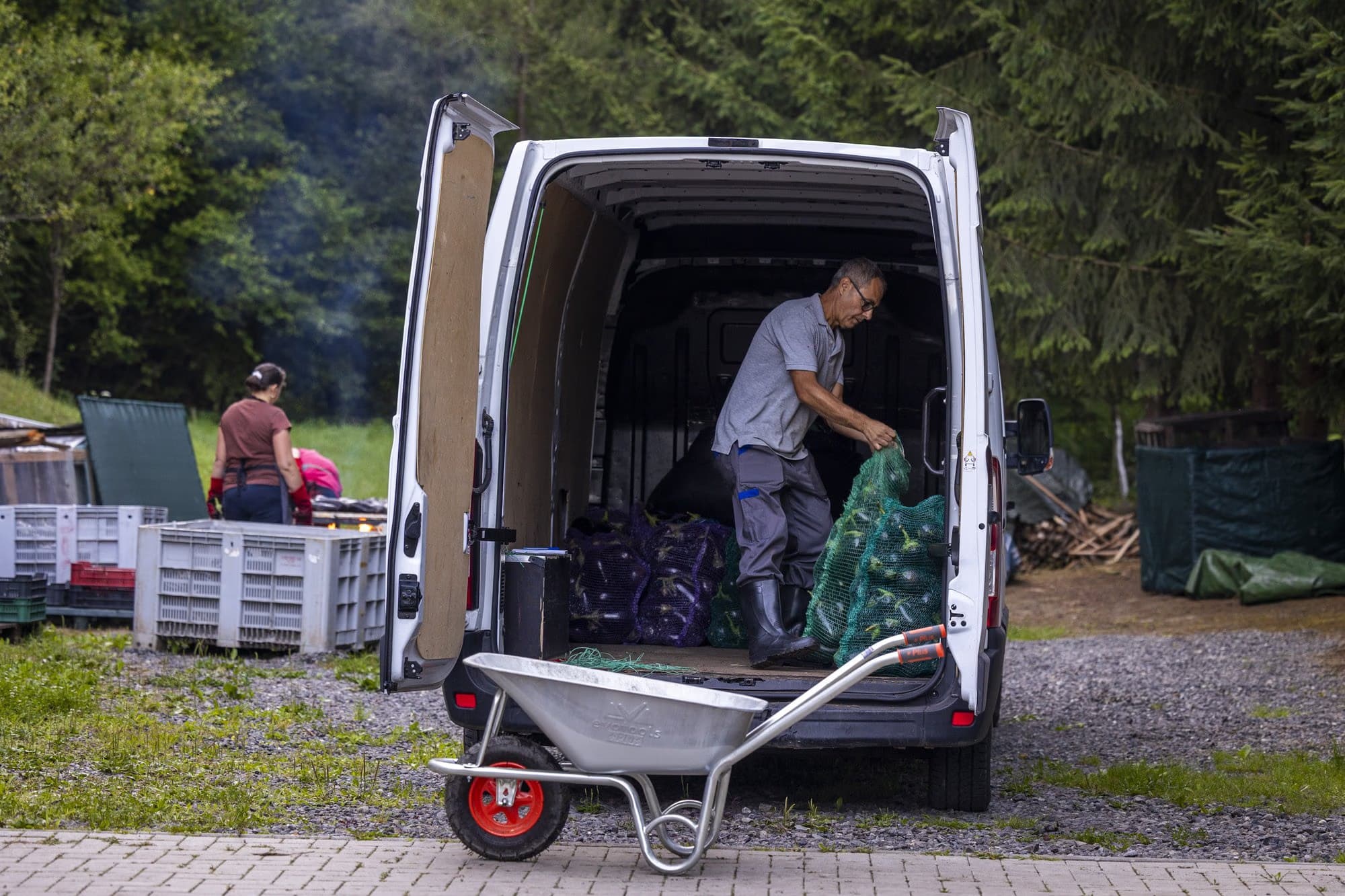 Workman unloading sacks of aubergines from the van