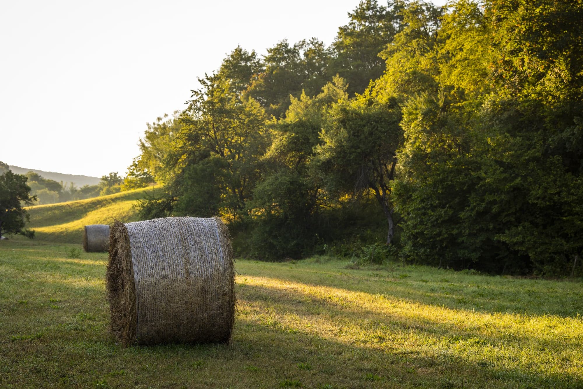 Hay bale in the light of sunrise