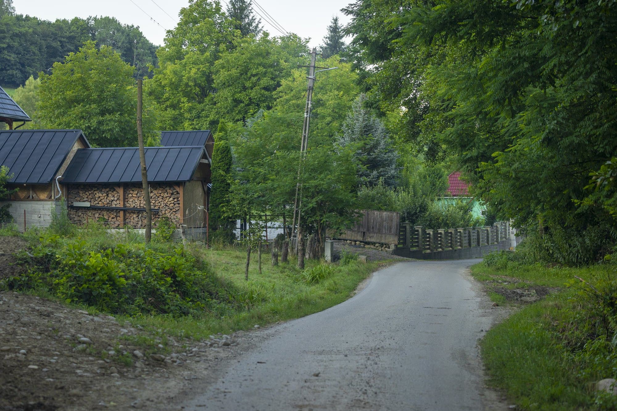 The village lane, with old houses and stacked firewood