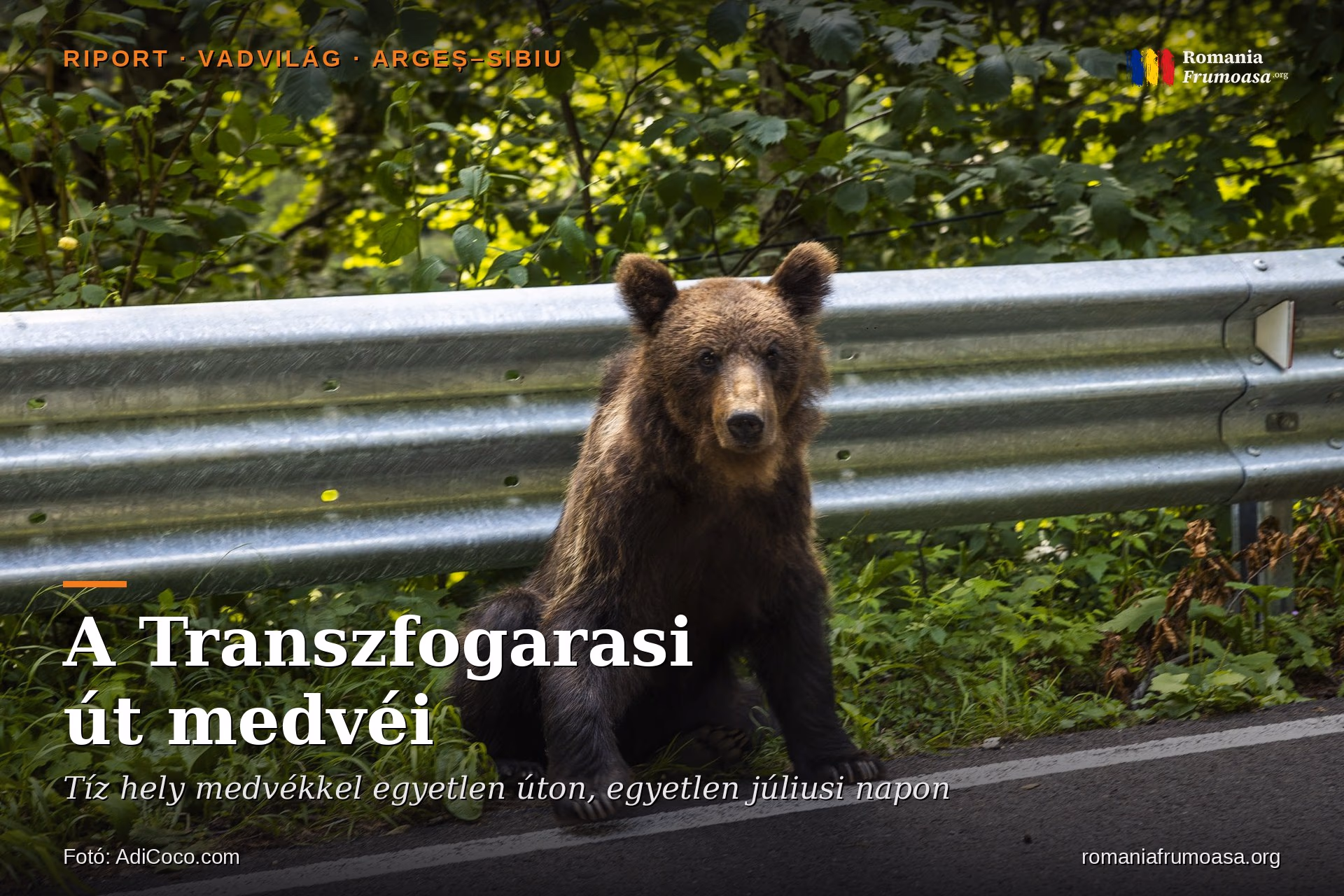 hero-ursi-transfagarasan-HU
