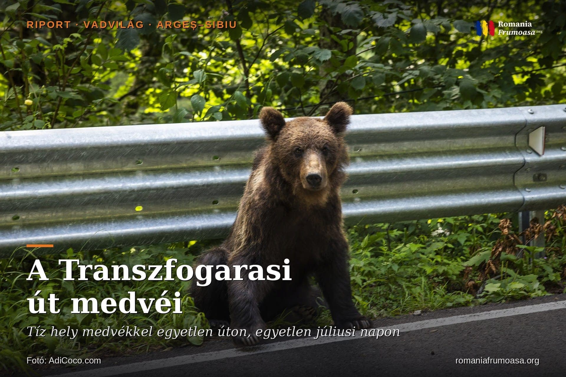 hero-ursi-transfagarasan-HU