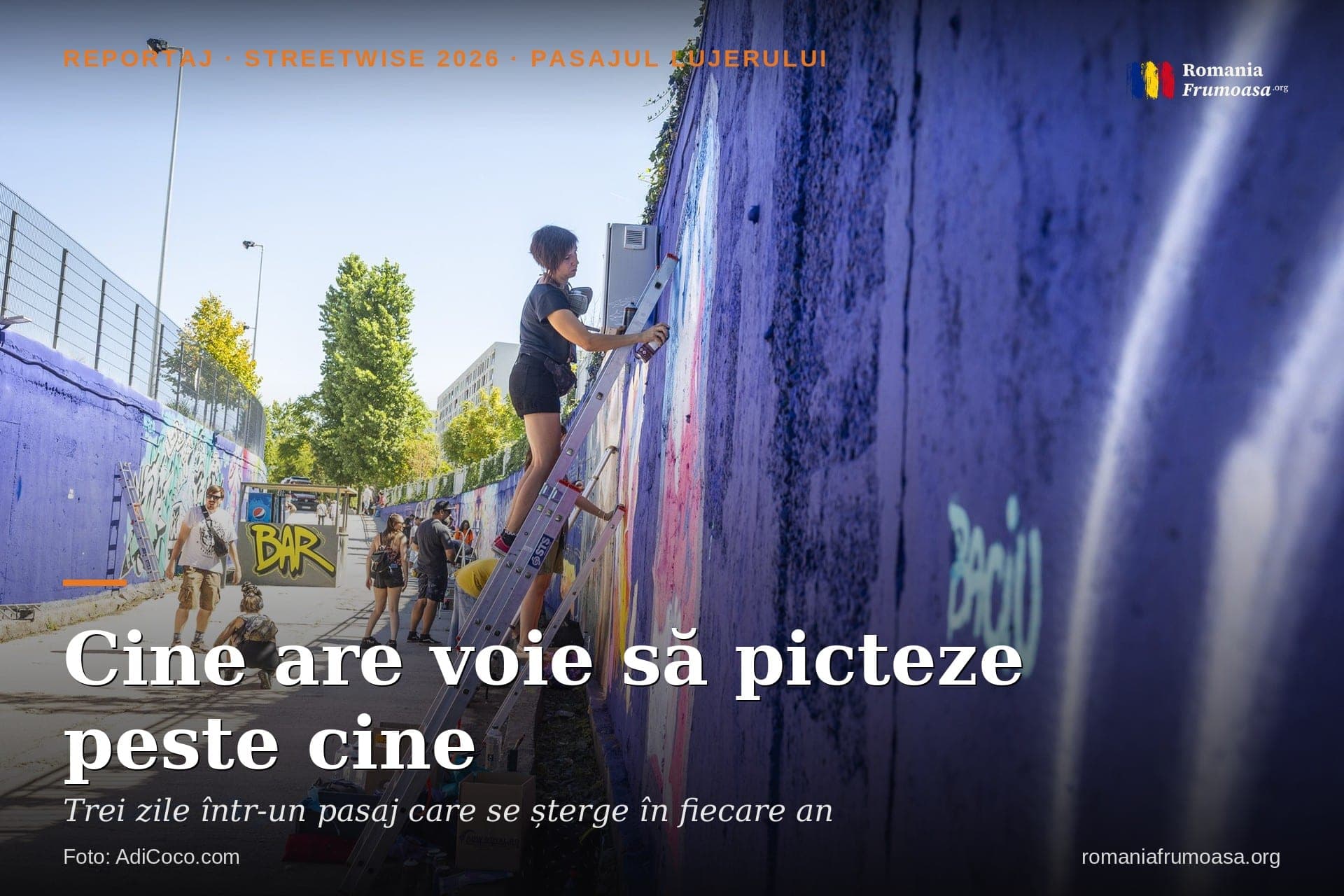 hero-cine-are-voie-sa-picteze-peste-cine-RO