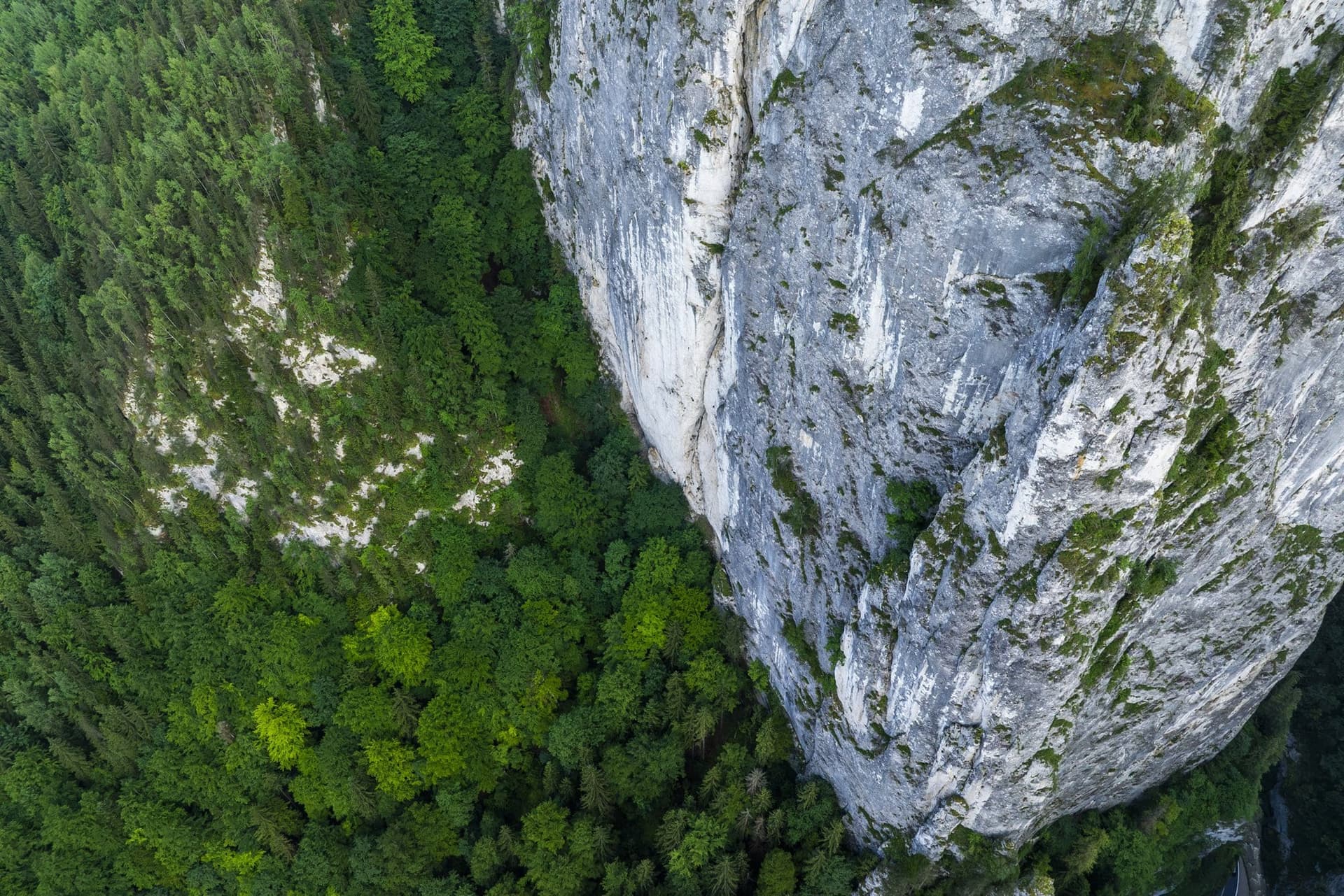 Masiv de calcar alb, aproape vertical, deasupra defileului îngust, în lumină de seară