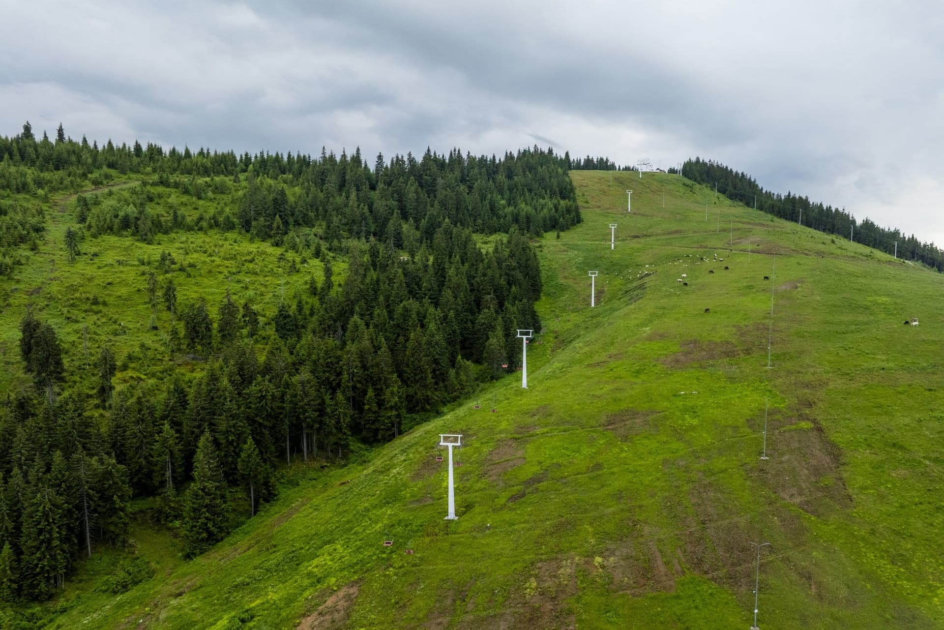 A meadow with ski-lift pylons on the ridge beside the Prislop Pass, under an overcast sky