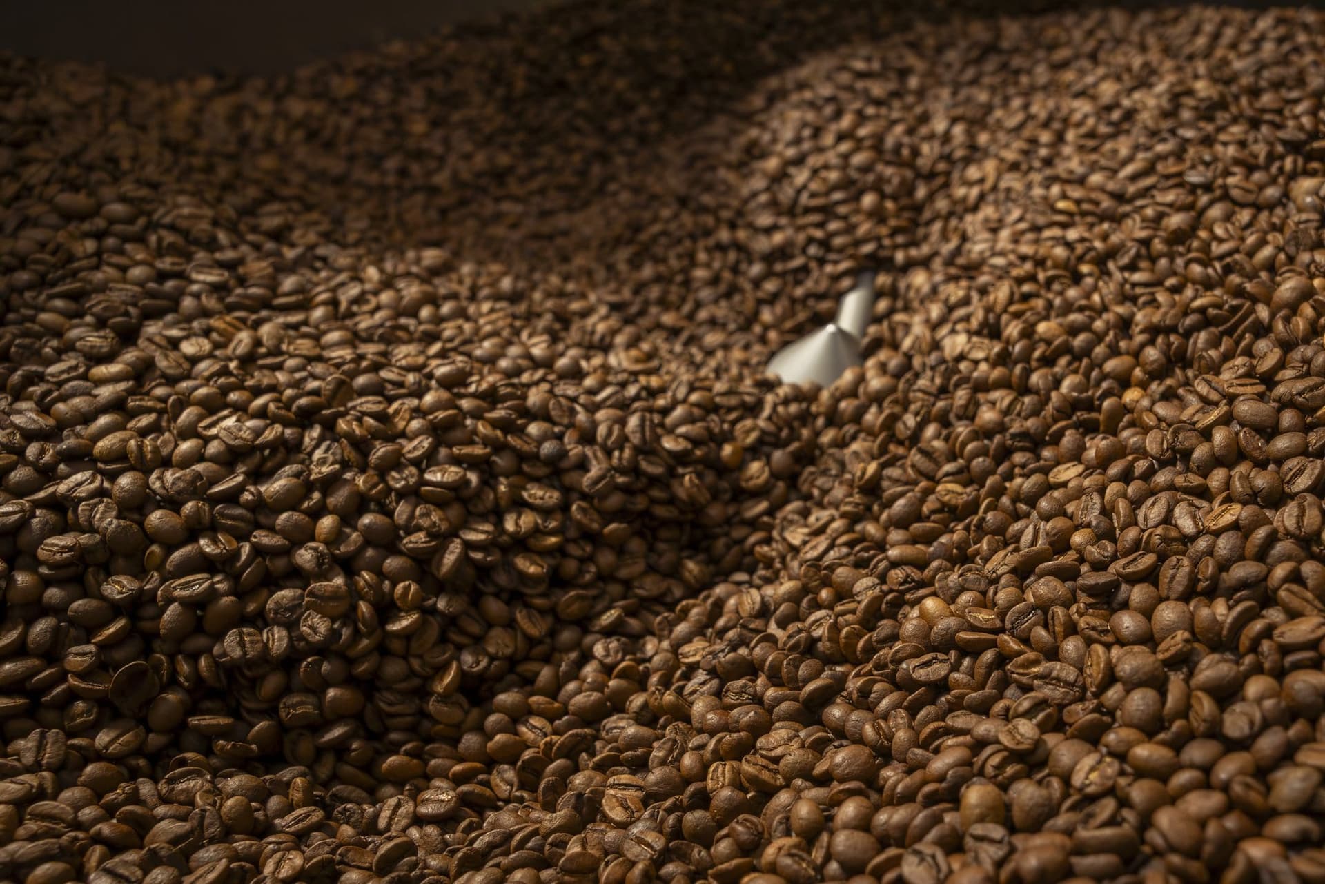 Cafea proaspăt prăjită în cuva de răcire, cu paleta mecanică