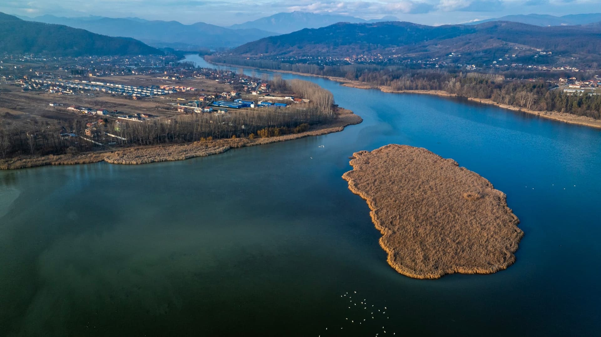 Oltul lărgit ca un lac la nord de Râmnicu Vâlcea, cu o insulă de stuf în mijlocul apei, iarna